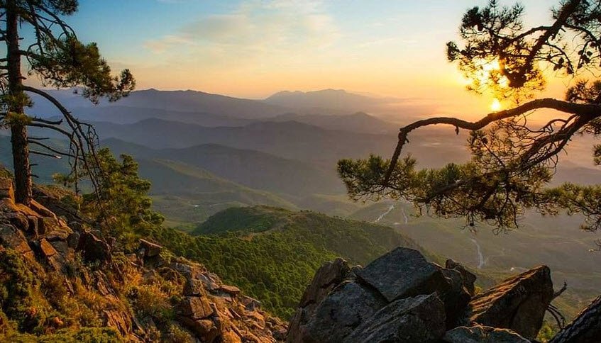 Paraje Natural Los Reales de Sierra Bermeja, Estepona, Spain, Spain